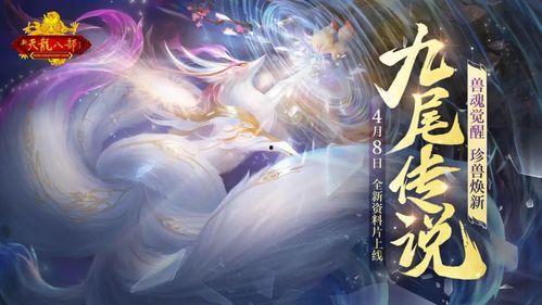 九尾狐爆料对比视频,视频对比背后的惊人真相 第2张 九尾狐爆料对比视频,视频对比背后的惊人真相 第2张